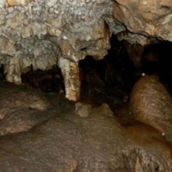  Moghan Cave
