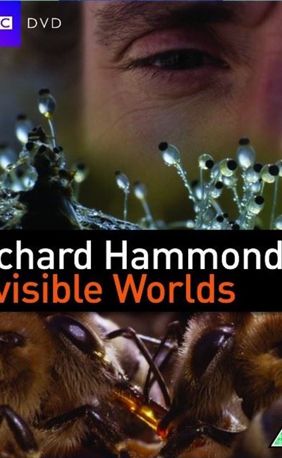 دانلود مستند جهان نامرئی با ریچارد هموند