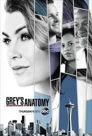 آناتومی گری