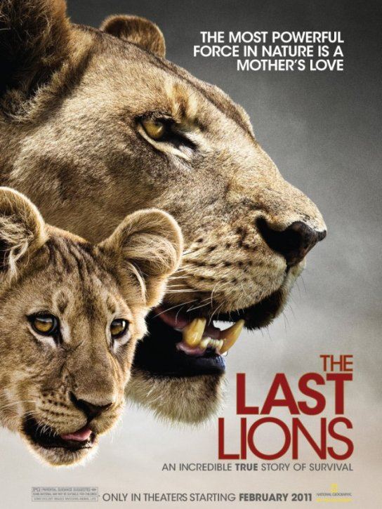 دانلود مستند آخرین شیرها