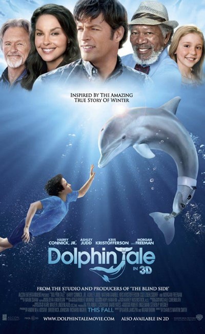 داستان دلفین