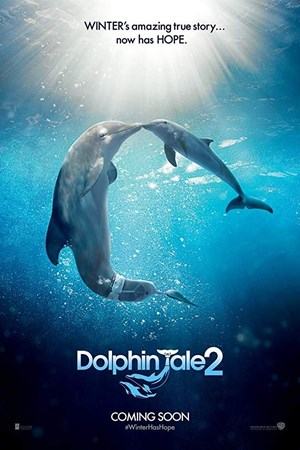 داستان دلفین 2