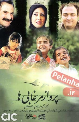 پرواز مرغابی ها