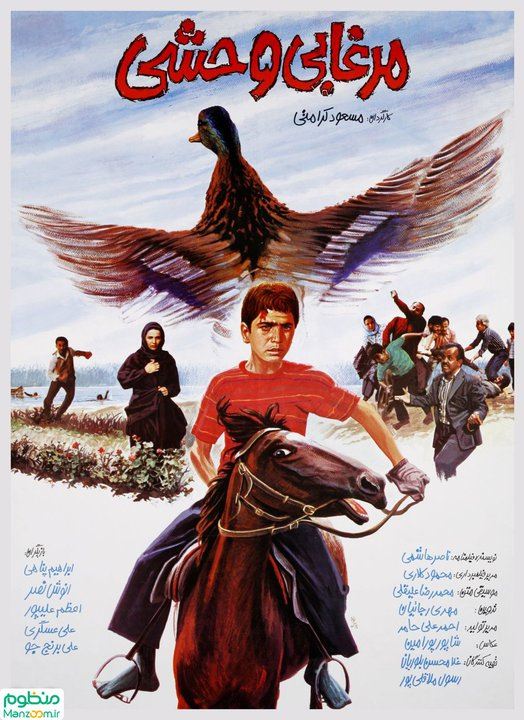 مرغابی وحشی