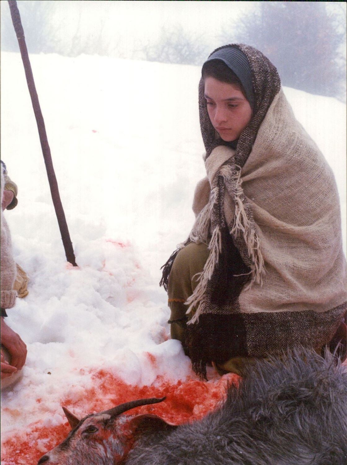 قطعه زمستانی