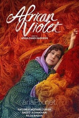 بنفشه آفریقایی