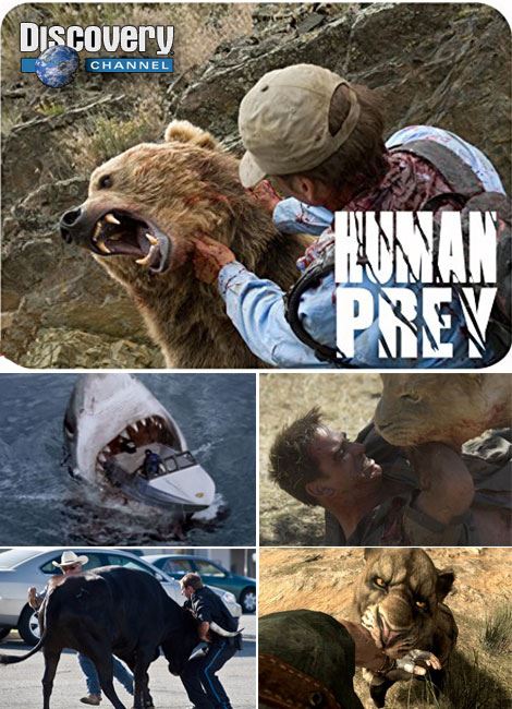 انسان طعمه حیوان