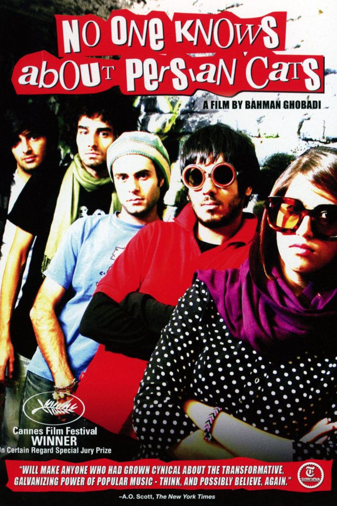 کسی از گربه های ایرانی خبر ندارد