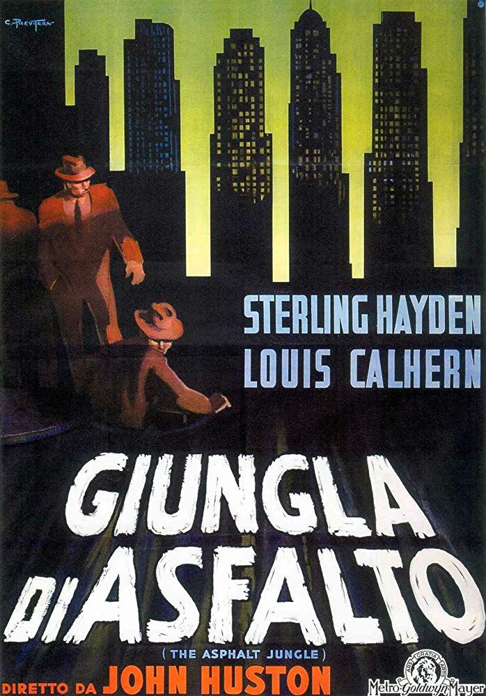 جنگل آسفالت