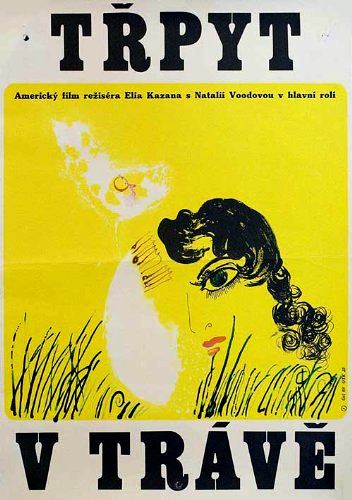 شکوه علفزار