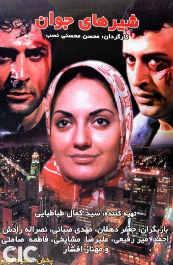 شیرهای جوان