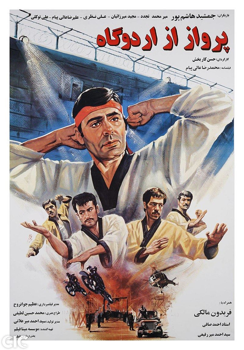 پرواز از اردوگاه