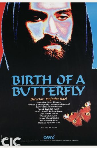 تولد یک پروانه