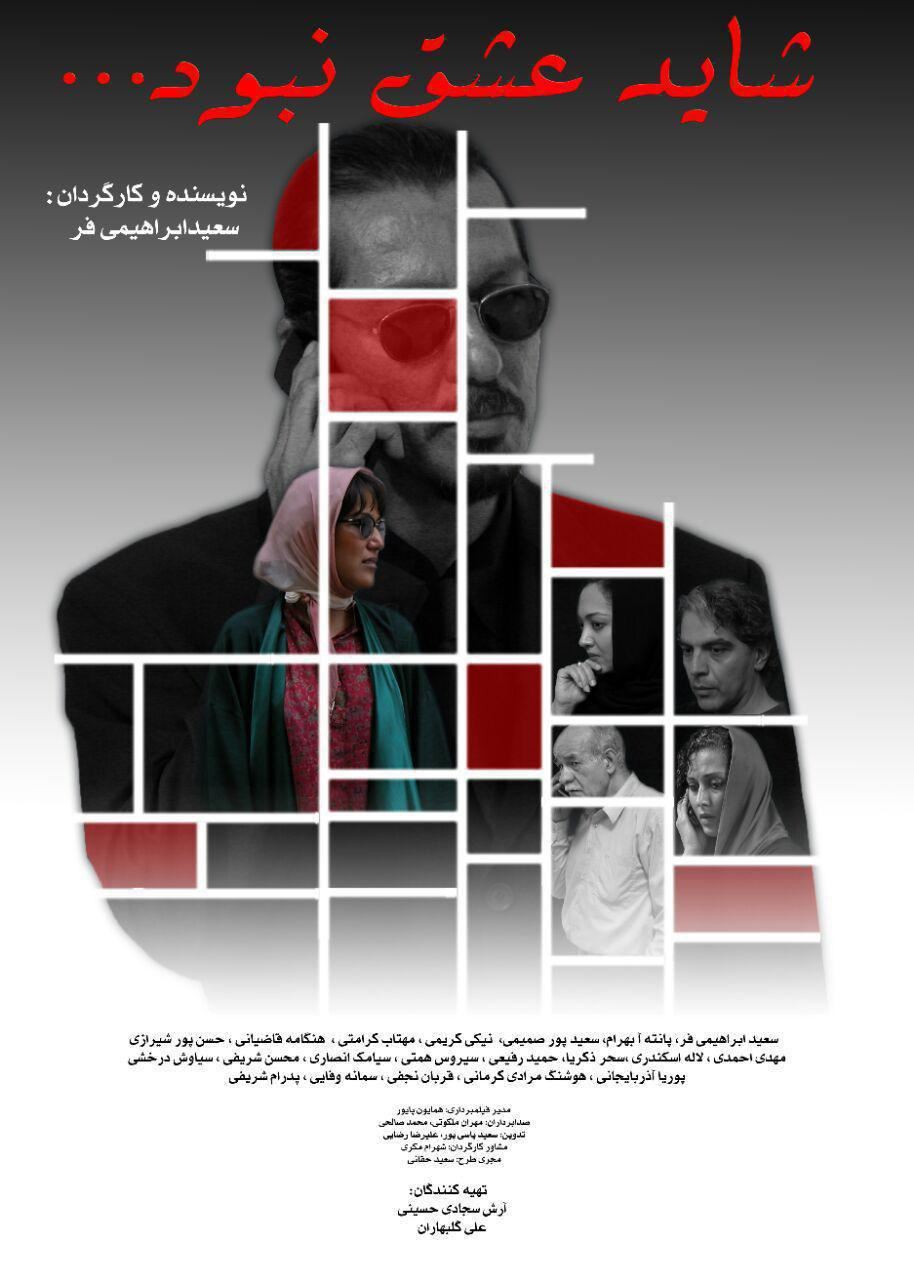 شاید عشق نبود